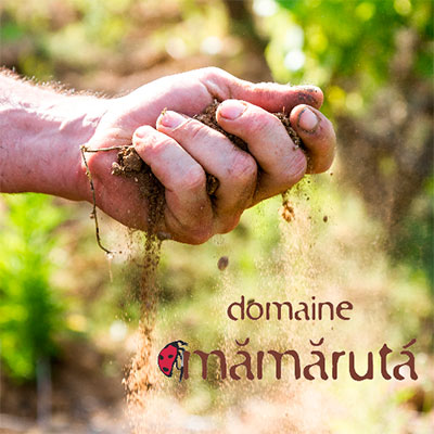 Domaine Mamaruta